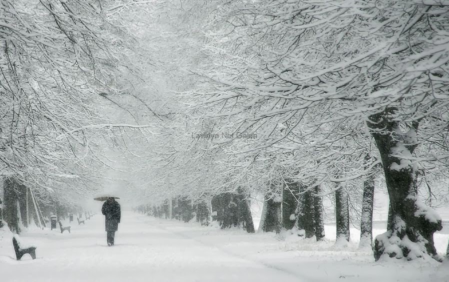 Hình ảnh mùa đông đẹp buồn cô đơn lãng mạn Tin Đẹp