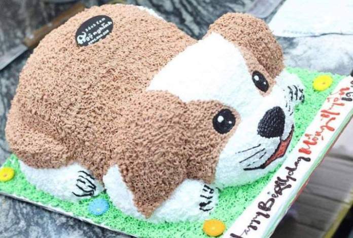 Bánh sinh nhật hình cún dành cho bé gái tuổi chó 2D- 0341 - Tiệm Bánh Chon  Chon