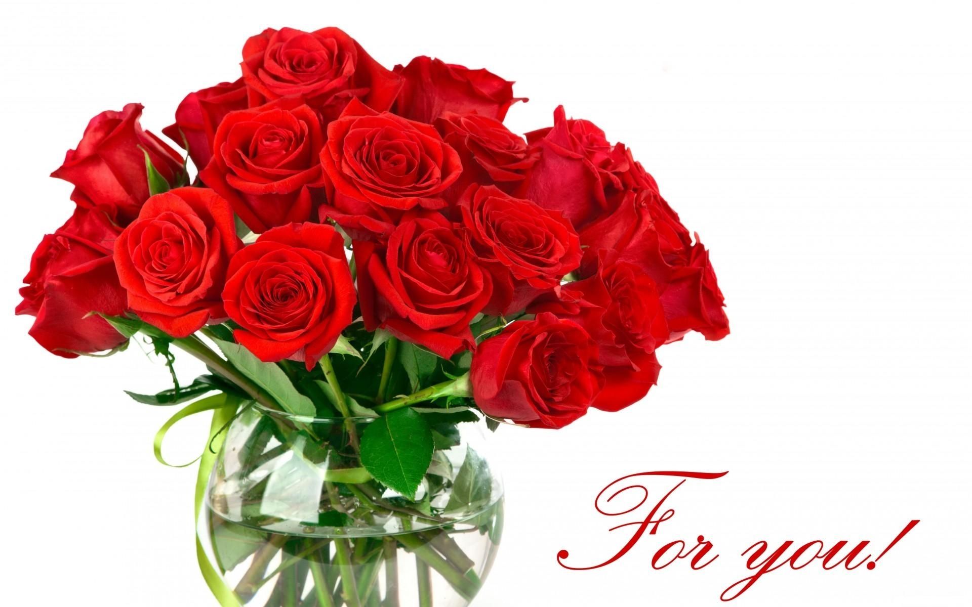 Cùng khám phá sự quyến rũ của những bông hoa hồng nhung tuyệt đẹp và đầy nổi bật qua những bức ảnh bạn sắp xem. Với sự kết hợp của màu sắc trầm và tinh tế và hương thơm quyến rũ, loài hoa này sẽ đưa bạn vào một thế giới thần tiên.