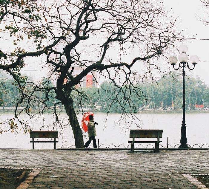 Xao xuyến với 202+ hình ảnh mùa đông Hà Nội đẹp thơ mộng, lãng mạn
