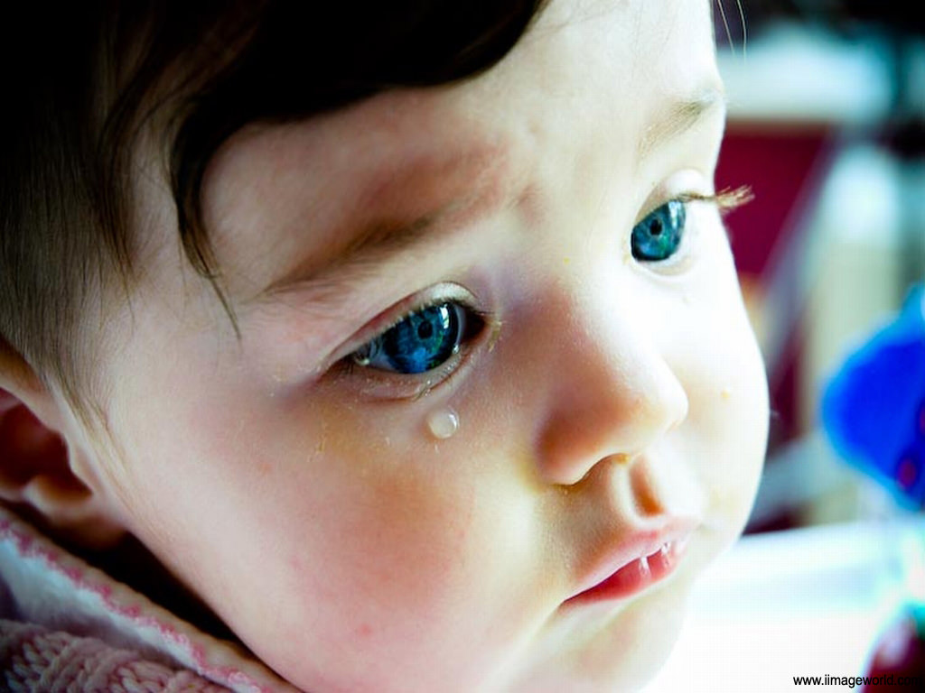 Bạn có thích nhìn thấy những em bé khóc dễ thương? Đừng bỏ qua bức ảnh bé gái khóc dễ thương trong hoà cùng lá vàng rơi ngoài kia. Hãy chia sẻ niềm vui và hy vọng với chúng tôi khi ngắm nhìn bức ảnh này.