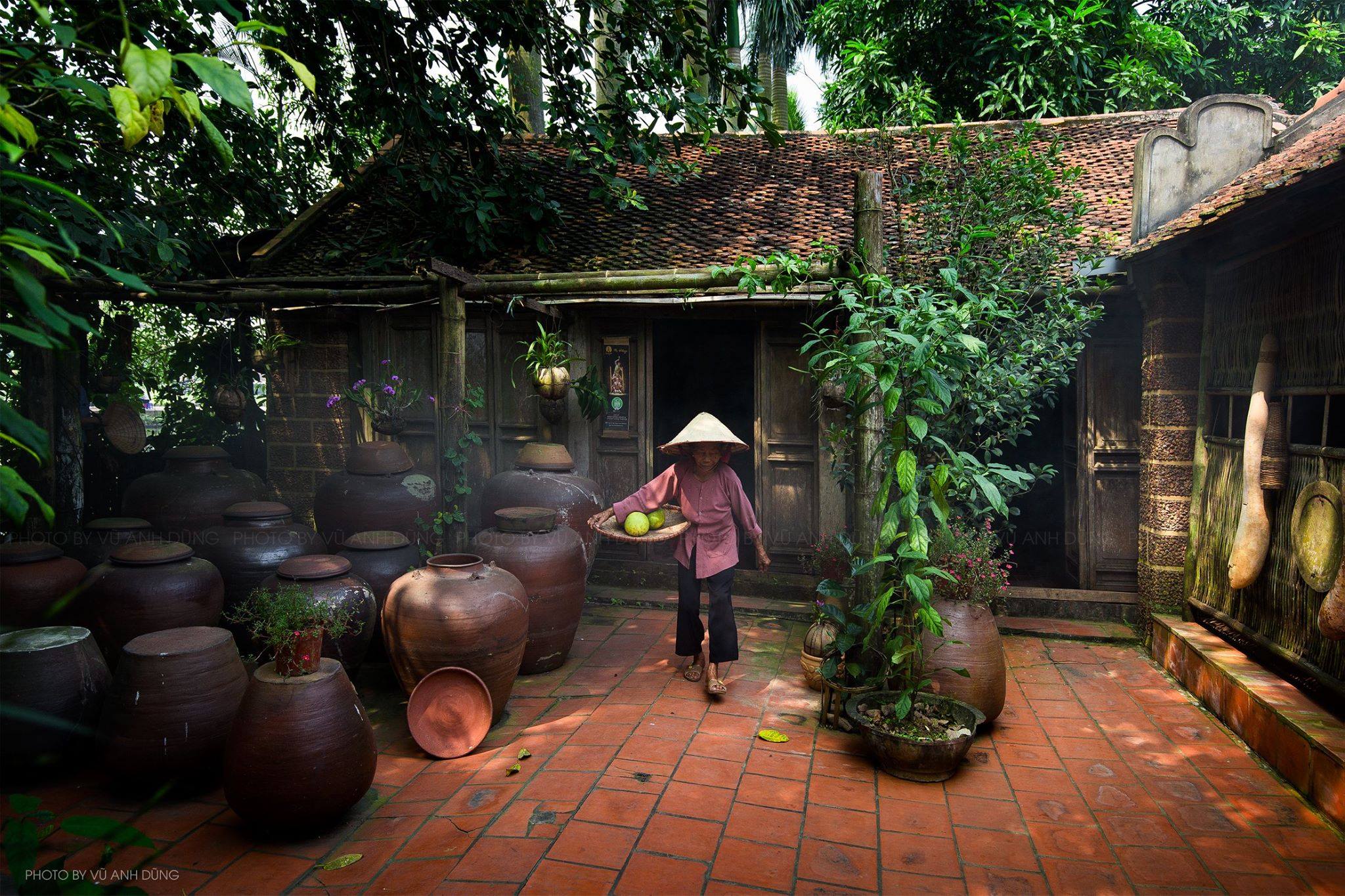 Những hình ảnh làng quê Việt Nam đẹp yên ả thanh bình