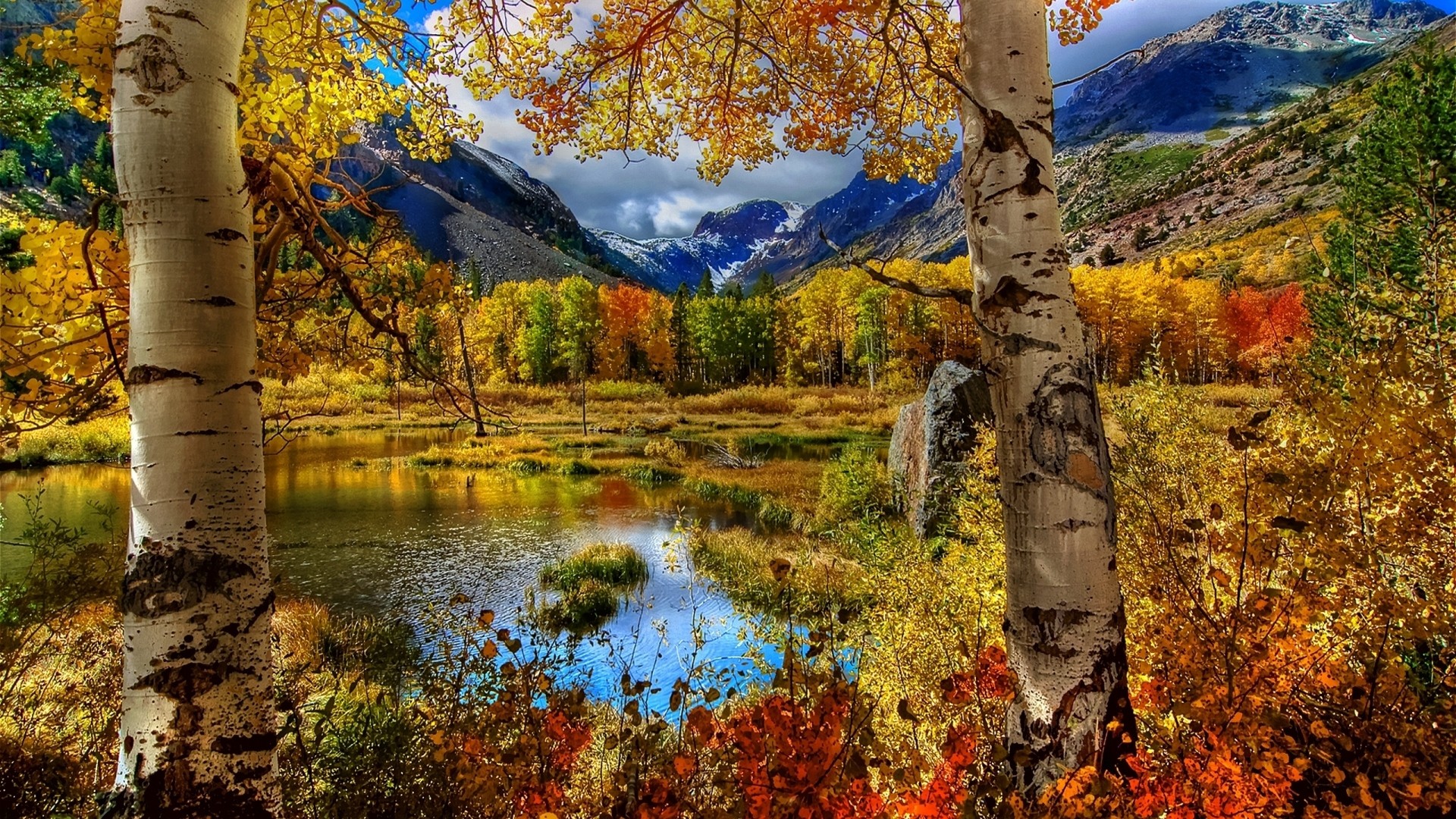 Hình ảnh mùa thu lá rụng buồn lãng mạn đẹp nhất thế giới