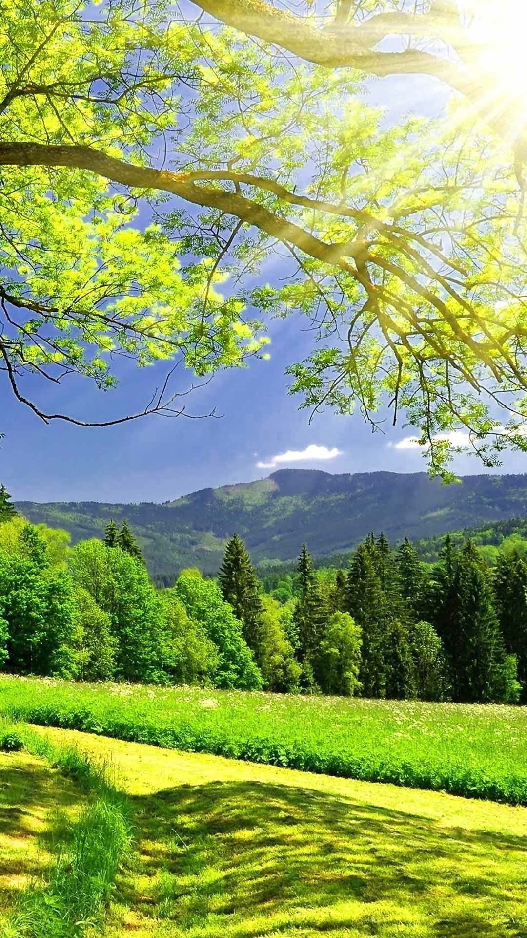 150 Hình nền thiên nhiên 4K đẹp nhất thế giới - Cakhia TV