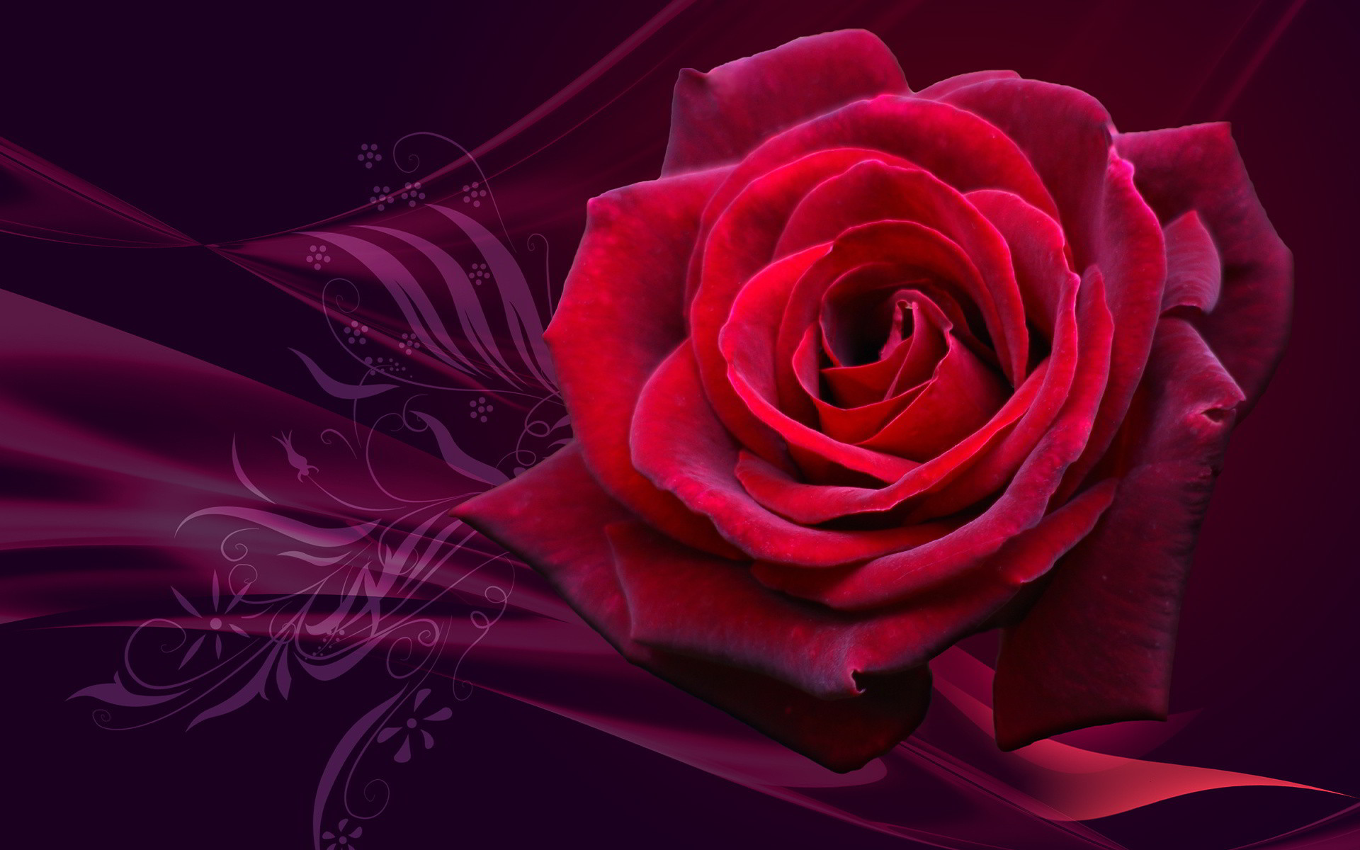 BST] 99+ Hình nền Hoa Hồng đẹp nhất gửi tặng người yêu