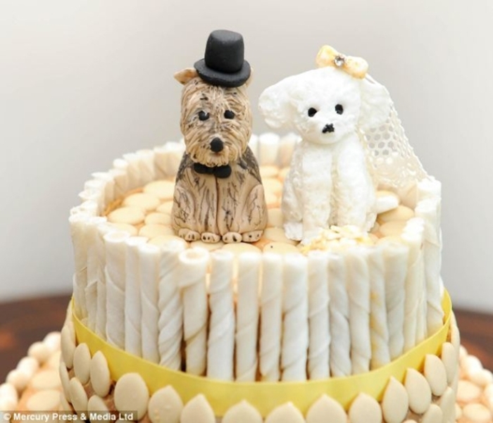 Bánh sinh nhật có hình chú chó đốm lém lỉnh, ngộ nghĩnh nhất từng thấy!