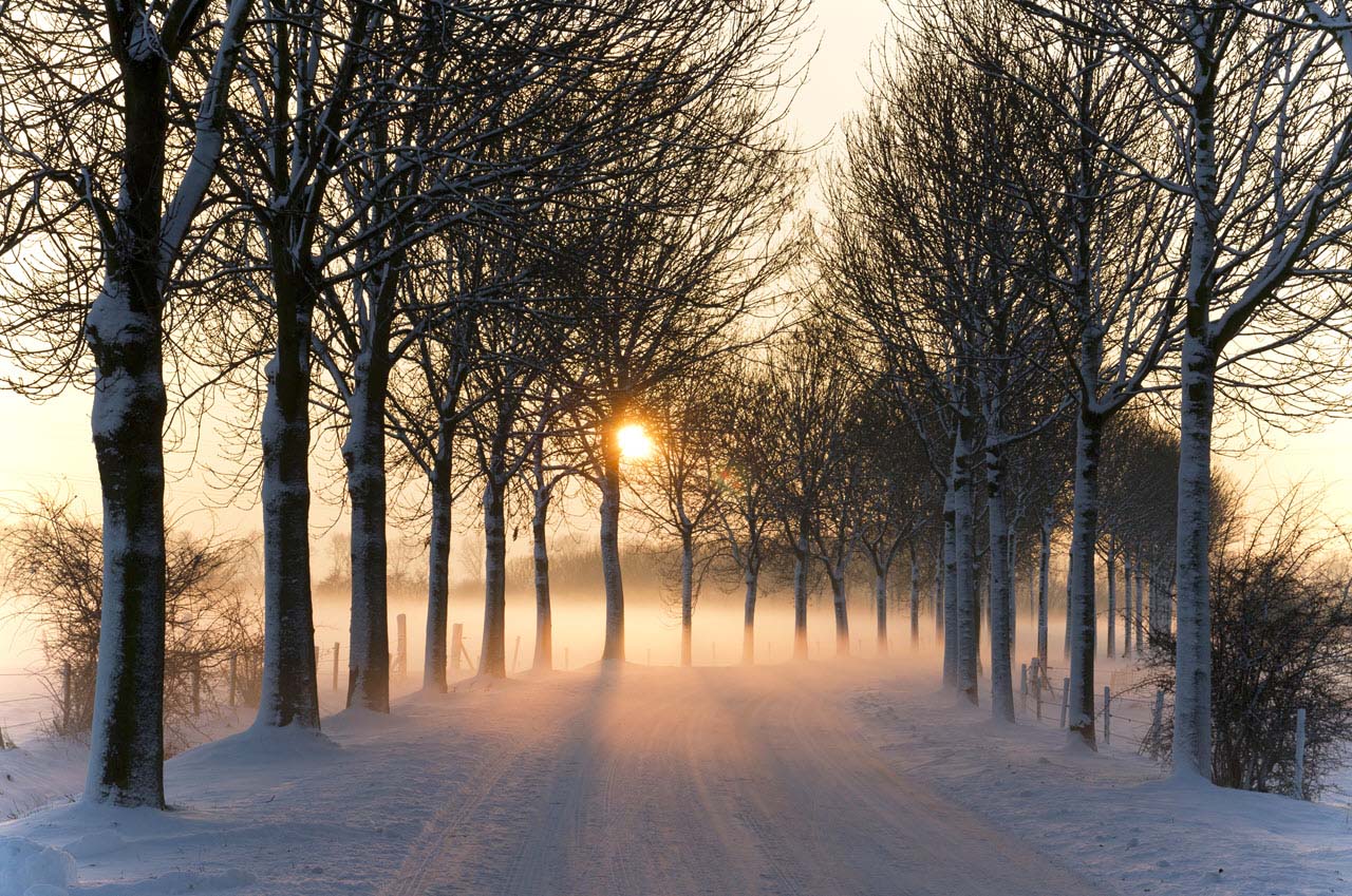 Tuyển tập hình ảnh mùa đông buồn cô đơn hình ảnh mùa đông đẹp buồn cô đơn  lãng mạn