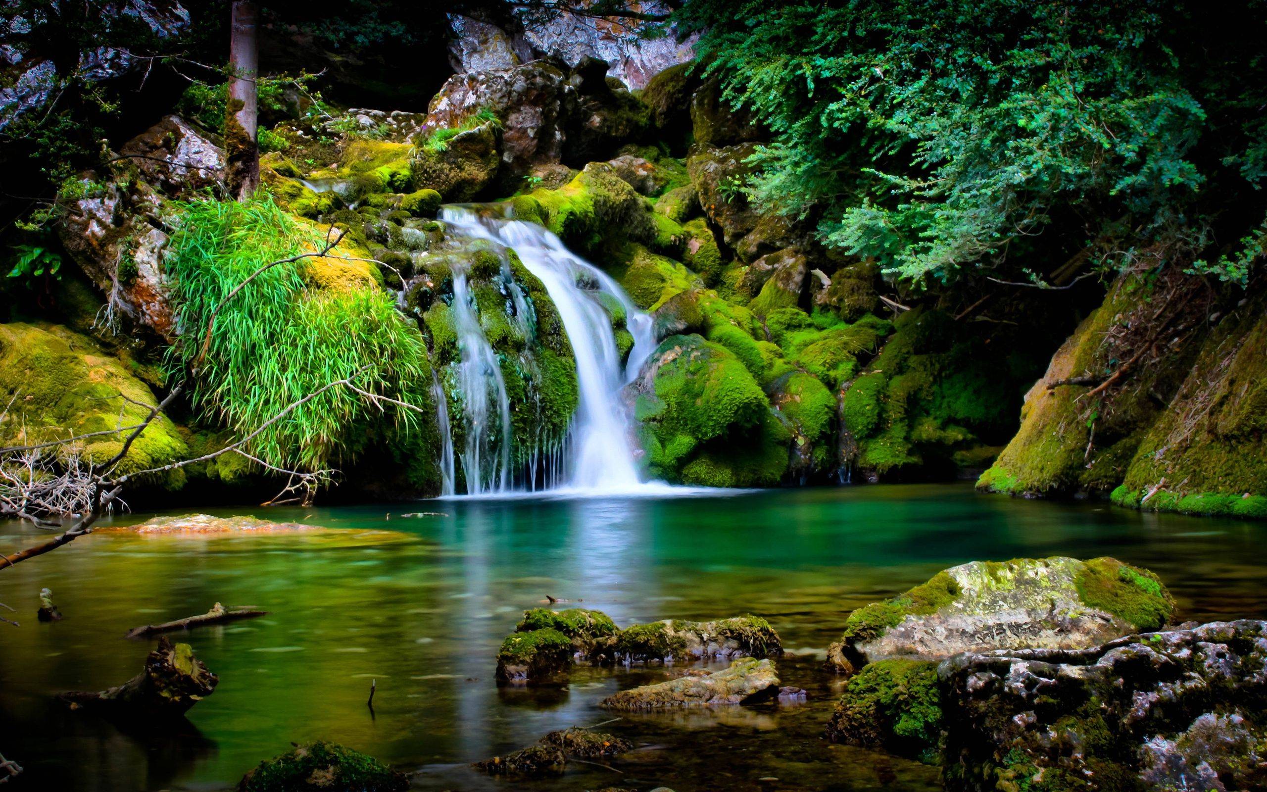 Hình nền thiên nhiên đẹp nhất cho điện thoại  Nature water Beautiful  nature pictures Water background