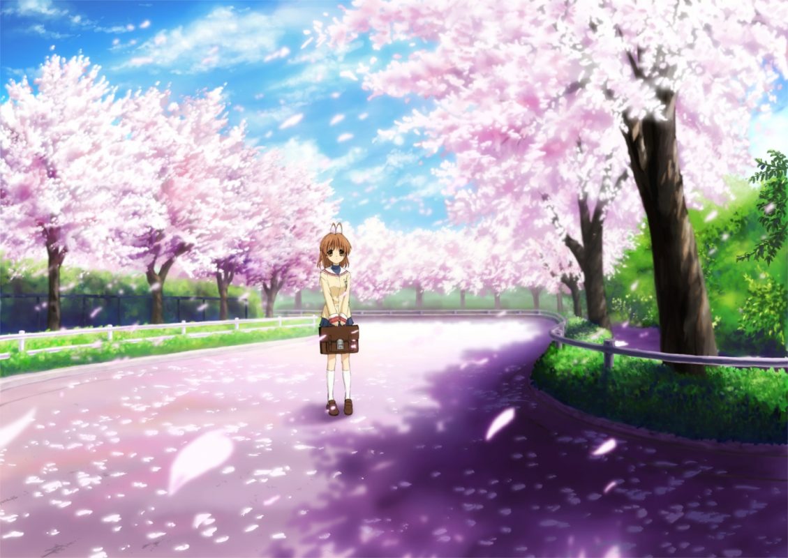 Tìm hiểu nhiều hơn 101 hình nền hoa anh đào anime tuyệt vời nhất   thdonghoadianeduvn