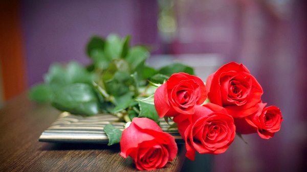 CHÙM Stt về hoa hồng – loài hoa tình yêu bất tử
