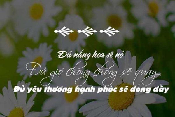 99+ Stt lạc quan yêu đời ý nghĩa được chia sẻ nhiều nhất