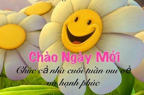 1000+ Lời chúc buổi sáng ngắn gọn hay nhất hiện nay