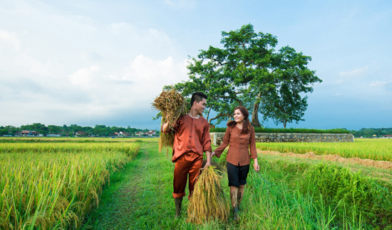 Thơ lục bát về tình yêu quê hương đất nước