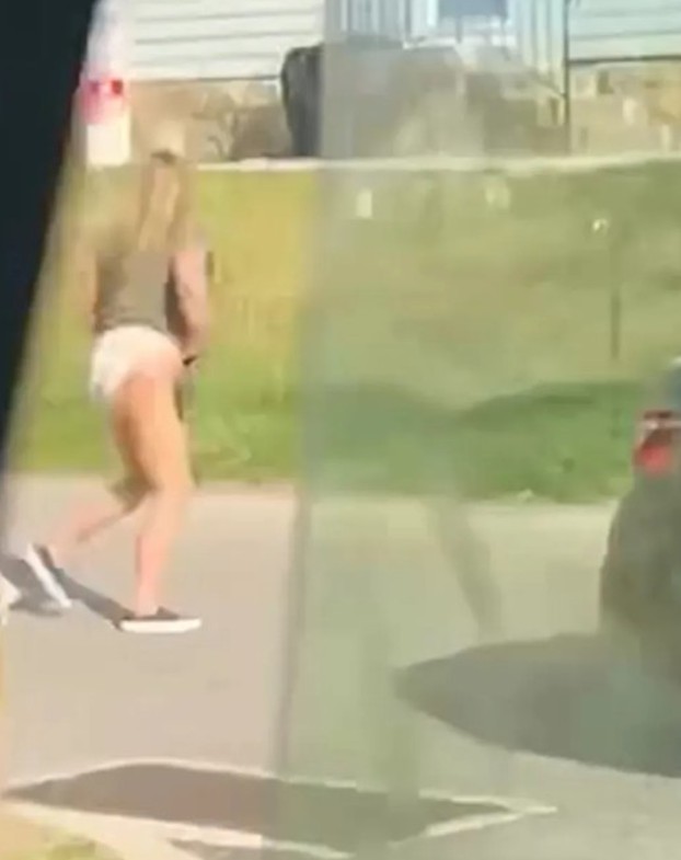 Delco Pooper Video and Laughter After Bizarre Road Rage